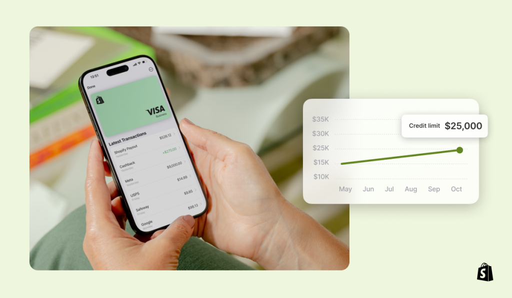 how does shopify works