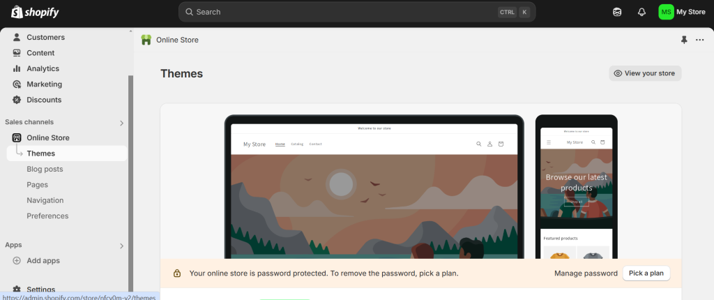 shopify online store